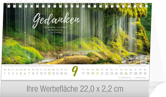 Einzigartige Momente