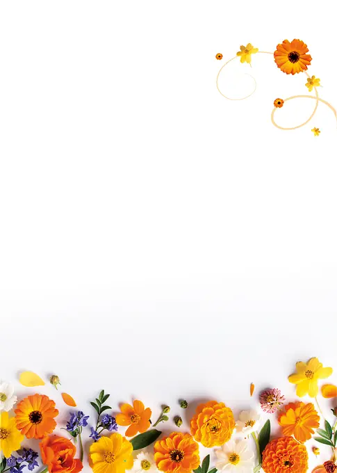 Blumenpotpourri
