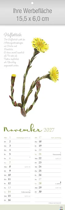 Herbarium