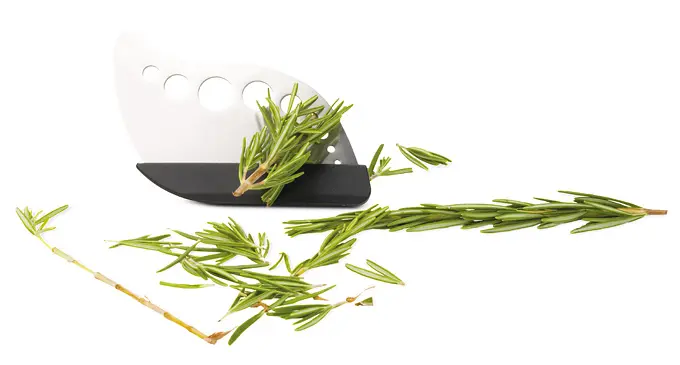 Kräuterabstreifer Herbis