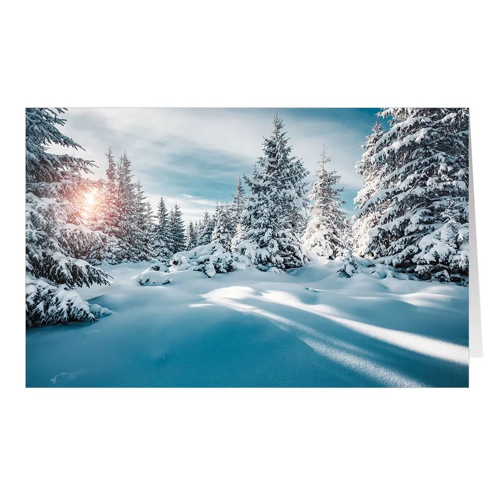Neuschnee