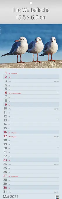 Formationen