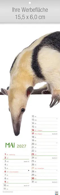 Einfach tierisch