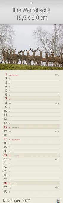 Formationen